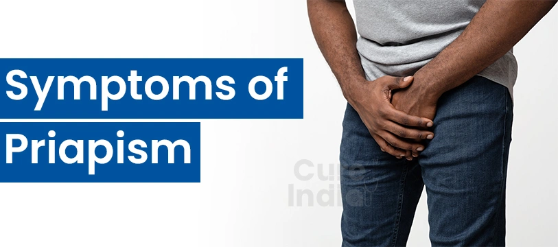 Symptoms of Priapism Condition